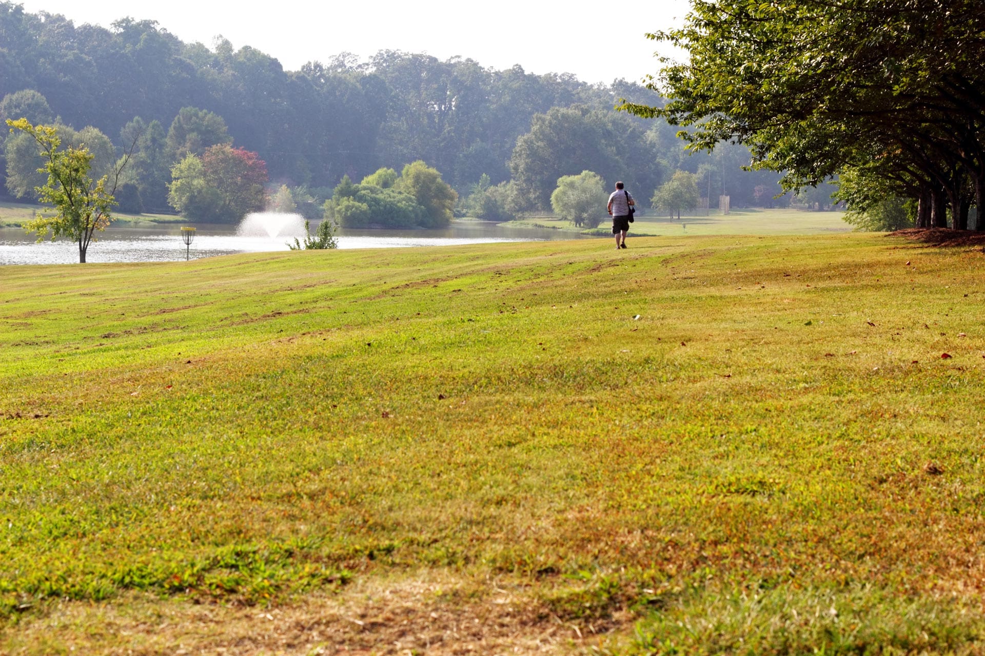 Mature Male Walking Frolf Fairway with Water Hazard