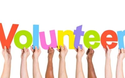 Festival Spotlight: Volunteers